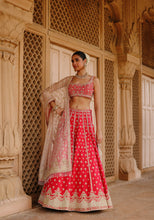 Load image into Gallery viewer, Noorbano - Hot Pink Lehenga Set with Blouse &amp; Dupatta
