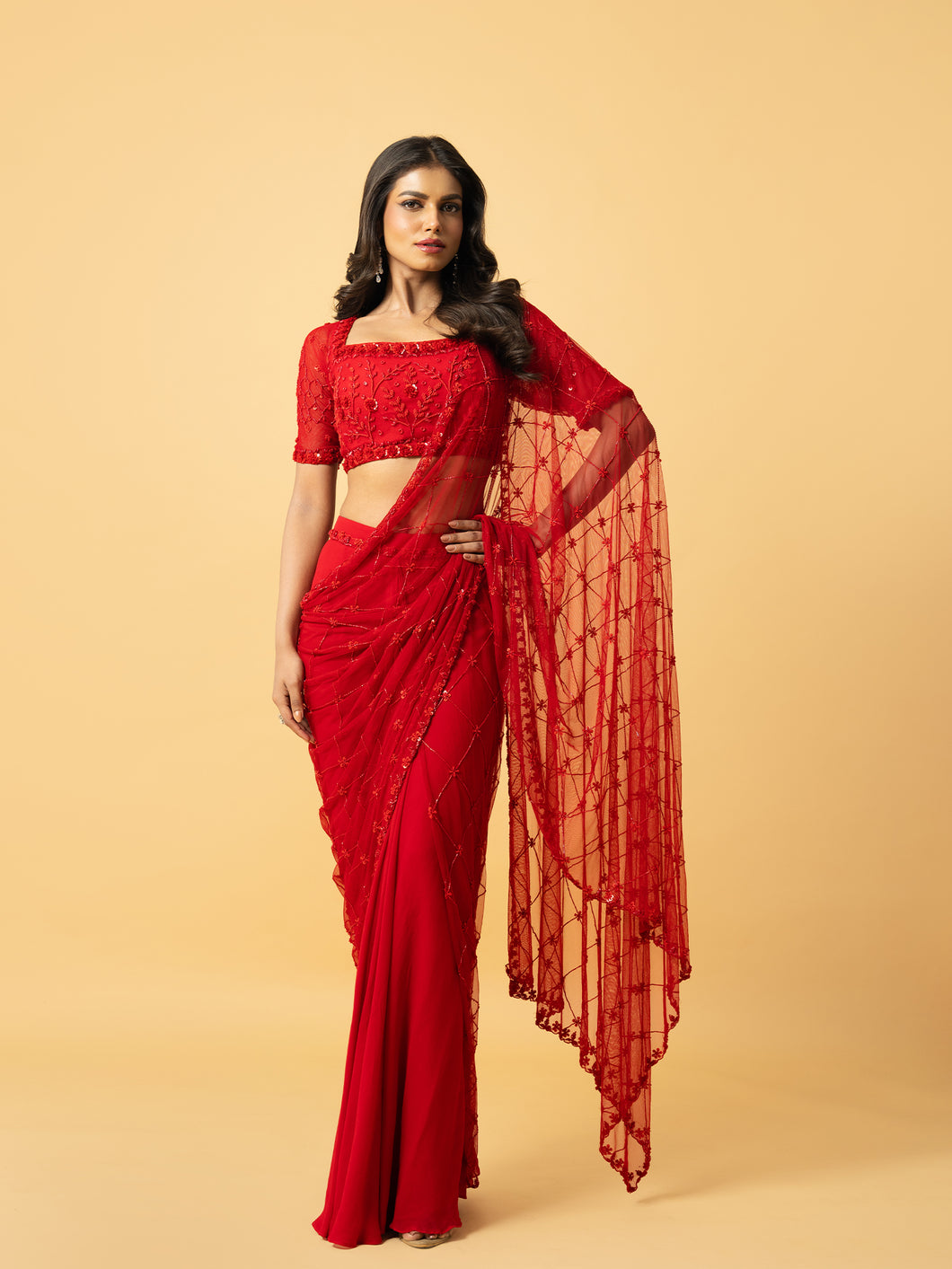 Red soft net & georgette saree with hand embroidery