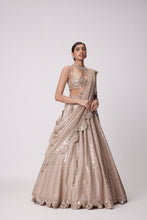 Load image into Gallery viewer, LIGHT BEIGE SEQUIN EMBROIDERED LEHENGA SET

