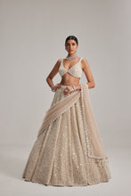 Load image into Gallery viewer, Light Beige Dense mirror and pearl lehenga set
