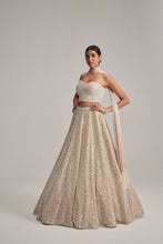 Load image into Gallery viewer, Light Beige mirror and pearl Corset lehenga set With Stole

