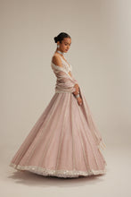 Load image into Gallery viewer, Ash Pink Pearl Mirror linear Lehenga with V neck Blouse
