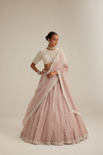 Load image into Gallery viewer, Ash Pink Pearl Drop Lehenga with high neck blouse
