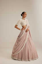 Load image into Gallery viewer, Ash Pink Pearl Drop Lehenga with high neck blouse
