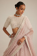 Load image into Gallery viewer, Ash Pink Pearl Drop Lehenga with high neck blouse
