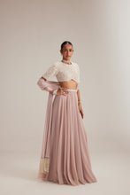 Load image into Gallery viewer, Ash Pink georgette Skirt with High Neck Blouse and Stole
