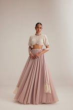 Load image into Gallery viewer, Ash Pink georgette Skirt with High Neck Blouse and Stole

