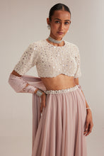 Load image into Gallery viewer, Ash Pink georgette Skirt with High Neck Blouse and Stole
