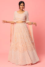 Load image into Gallery viewer, Pink organza pearl and cut dana embroidered lehenga
