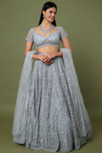 Load image into Gallery viewer, Grey net self on self cut dana embroidered lehenga
