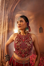 Load image into Gallery viewer, MEHVISH SHARARA SET
