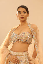 Load image into Gallery viewer, Nude embroidered lehenga set
