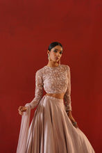 Load image into Gallery viewer, Blush pink dupion silk lehenga choli set
