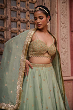 Load image into Gallery viewer, Mint green shimmer tissue Blouse, lehenga and dupatta

