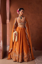 Load image into Gallery viewer, Rust orange embroidered blouse, shimmer tissue lehenga and dupatta
