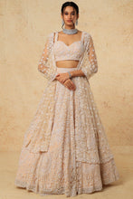 Load image into Gallery viewer, Pink organza self on self embroidered lehenga
