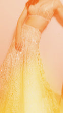 Load and play video in Gallery viewer, Daina Lehenga Set
