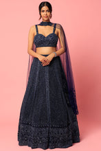 Load image into Gallery viewer, Navy net cut dana, sequins embroidered lehenga
