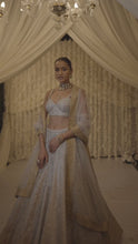 Load and play video in Gallery viewer, Silver Gold Mesh Lehenga Set
