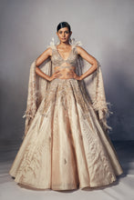 Load image into Gallery viewer, Renne Organza lehenga Set
