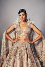 Load image into Gallery viewer, Renne Organza lehenga Set
