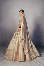 Load image into Gallery viewer, Renne Organza lehenga Set

