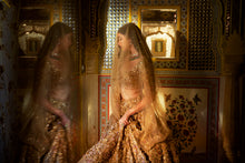 Load image into Gallery viewer, Gold Three-Dimensional Jewel Lehenga Set
