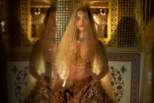 Load image into Gallery viewer, Gold Three-Dimensional Jewel Lehenga Set
