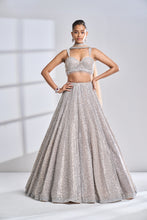 Load image into Gallery viewer, Coffee Silver Lehenga Set

