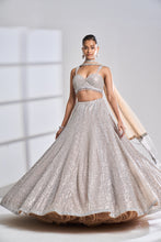 Load image into Gallery viewer, Coffee Silver Lehenga Set
