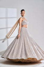 Load image into Gallery viewer, Coffee Silver Lehenga Set
