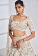 Load image into Gallery viewer, Nude Pearl Lehenga Set
