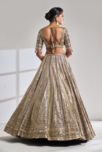 Load image into Gallery viewer, Deep Wine Sequin Lehenga Set
