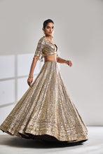 Load image into Gallery viewer, Deep Wine Sequin Lehenga Set
