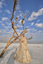 Load image into Gallery viewer, Cream Gold Mirror Work Lehenga Set
