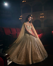 Load image into Gallery viewer, Coffee Silver Lehenga Set
