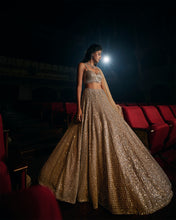 Load image into Gallery viewer, Coffee Silver Lehenga Set
