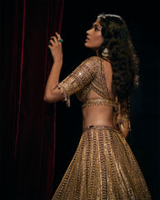 Load image into Gallery viewer, Deep Wine Sequin Lehenga Set
