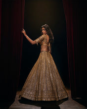 Load image into Gallery viewer, Deep Wine Sequin Lehenga Set
