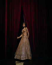 Load image into Gallery viewer, Deep Wine Sequin Lehenga Set

