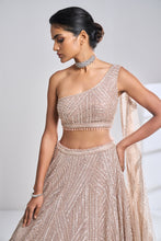 Load image into Gallery viewer, Rose Gold Pearl Lehenga Set
