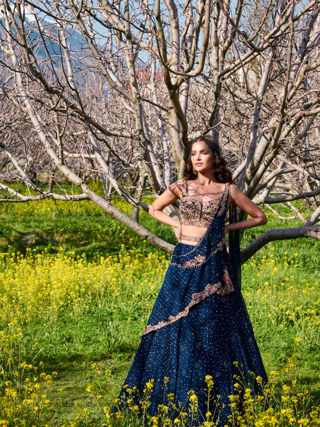 Last Summer Chiffon Lehenga Set