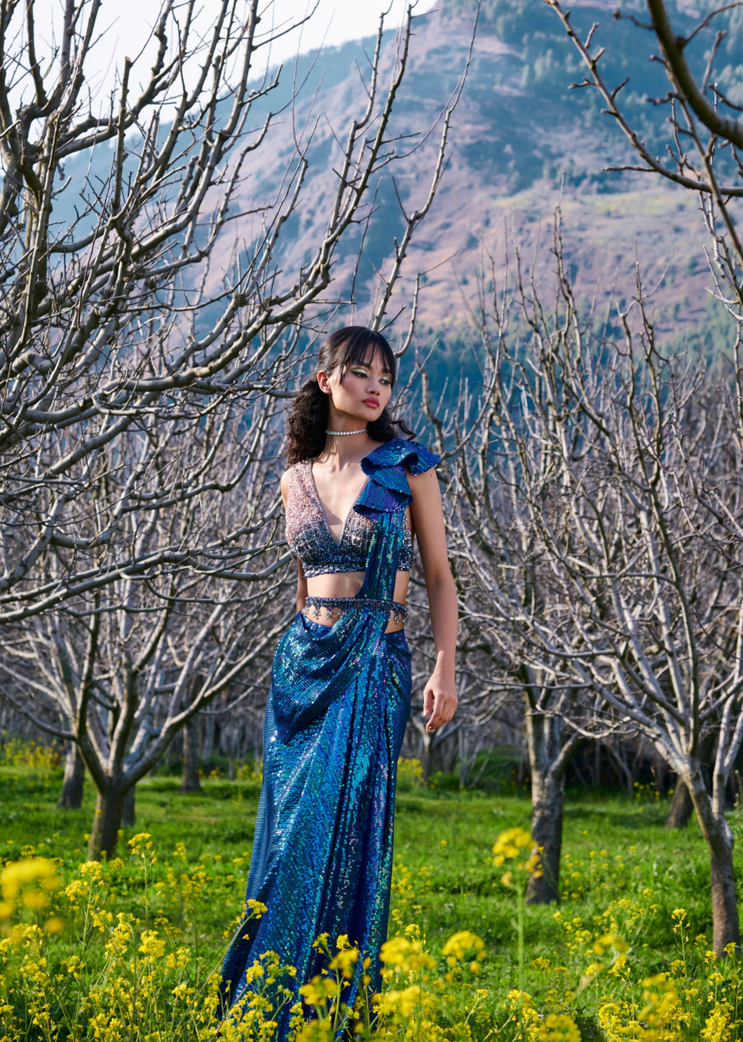 Layla Sequinned Drape Saree