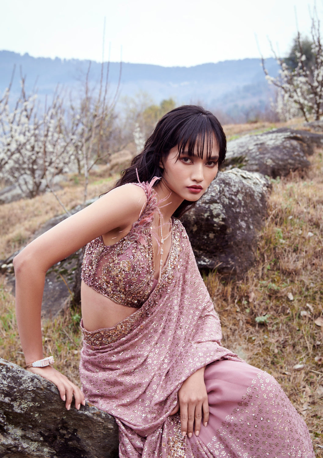 Shanayah Chiffon Kamdani Sari