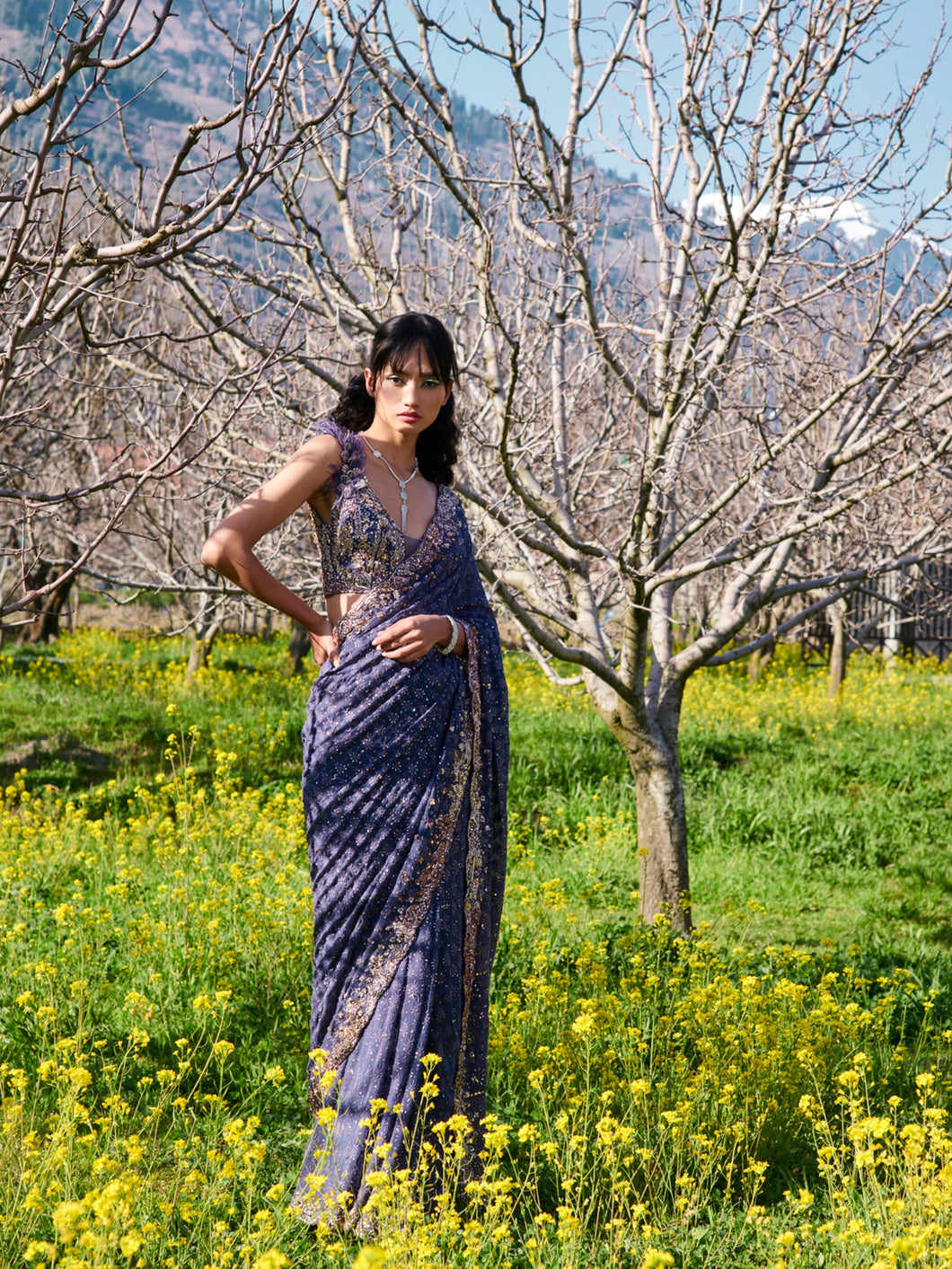 Soft Kramer Chikankari Sari