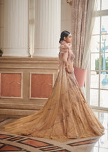 Load image into Gallery viewer, Elaine Blush Pink Shimmer Tulle Ombre Lehenga Set
