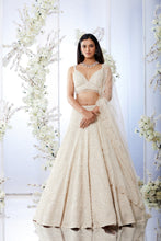 Load image into Gallery viewer, Ivory Pearl Lehenga Set
