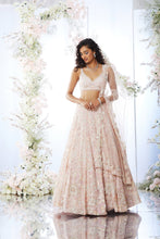 Load image into Gallery viewer, Blush Pink Sequin Lehenga Set
