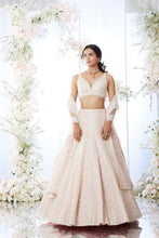 Load image into Gallery viewer, Millenial Pink Lehenga Set
