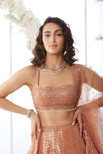Load image into Gallery viewer, Rust Antique Sequin Lehenga Set
